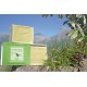olive and pine natural soap  from Sóller Mallorca